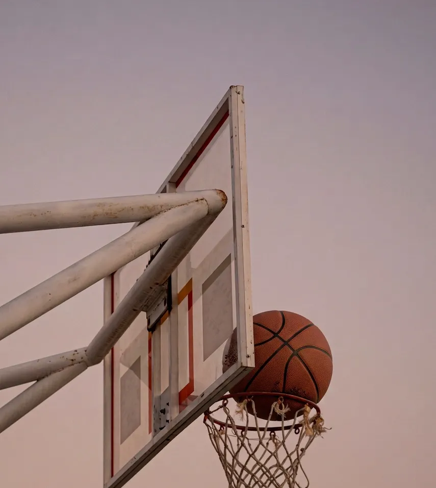 Basketball hoop against a dusk sky